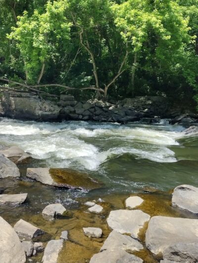 Brandywine Creek State Park - Rockland Parking lot - Rockland, DE