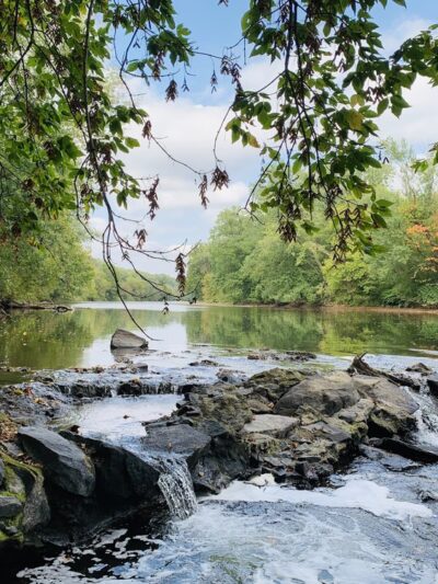 Brandywine Creek State Park - Rockland Parking lot - Rockland, DE