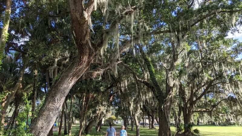Barks and Recreation - Rockledge, FL