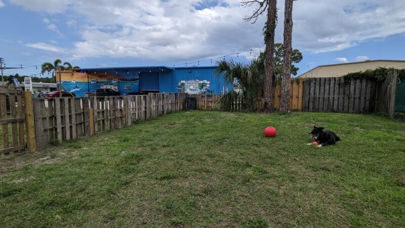 BeachFly Brewing Dog Park - Rockledge, FL