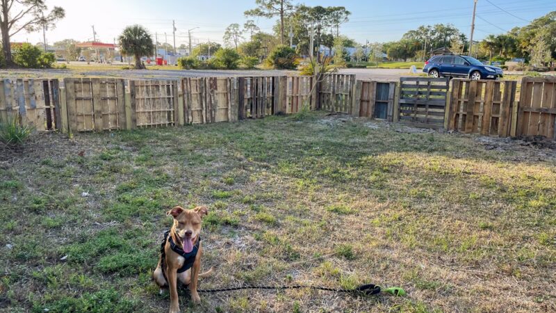 BeachFly Brewing Dog Park - Rockledge, FL