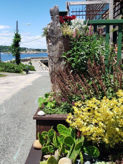 Rockport - Rockport, MA