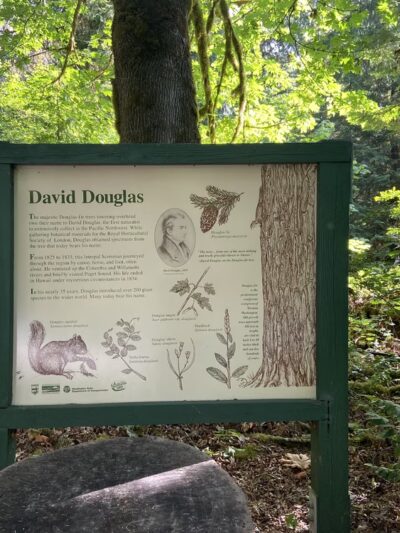 Rockport State Park - Rockport, WA