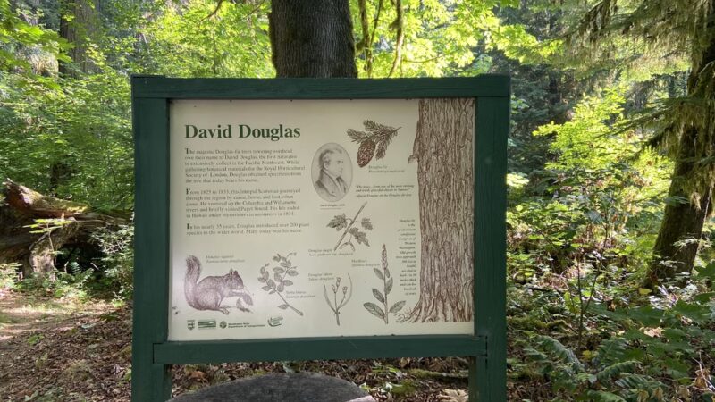 Rockport State Park - Rockport, WA