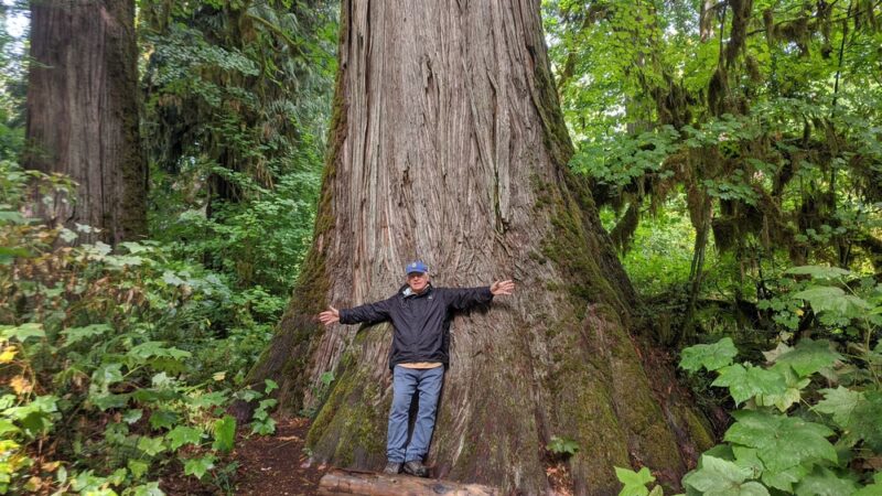 Rockport State Park - Rockport, WA