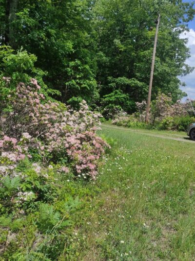 Rockton Mountain Trails - Rockton, PA