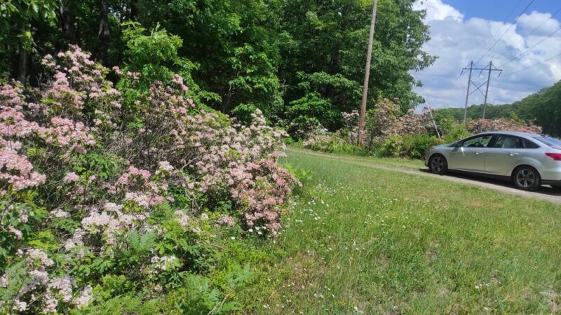 Rockton Mountain Trails - Rockton, PA