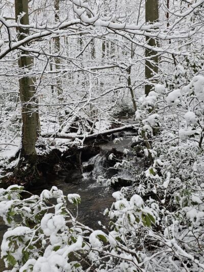Rockton Mountain Trails - Rockton, PA