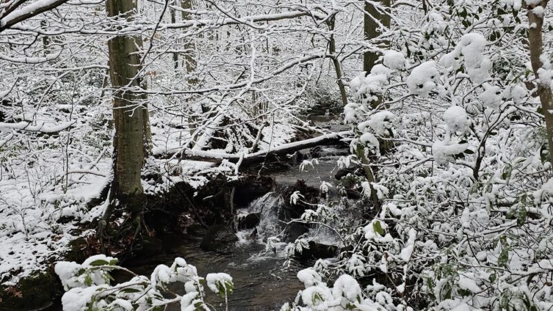 Rockton Mountain Trails - Rockton, PA