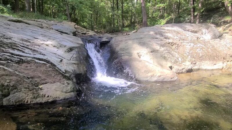 Croydon Creek Nature Center - Rockville, MD