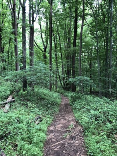 Croydon Creek Nature Center - Rockville, MD