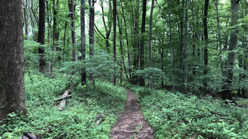 Croydon Creek Nature Center - Rockville, MD