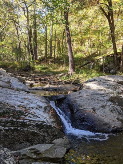 Croydon Creek Nature Center - Rockville, MD