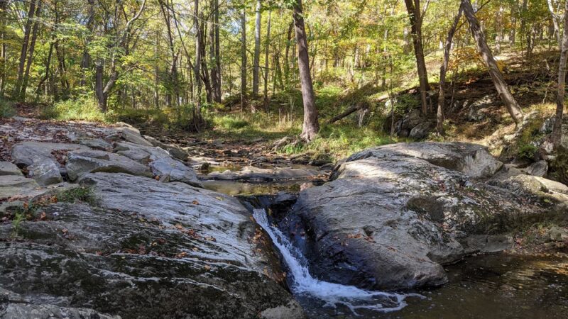 Croydon Creek Nature Center - Rockville, MD