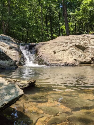 Croydon Creek Nature Center - Rockville, MD