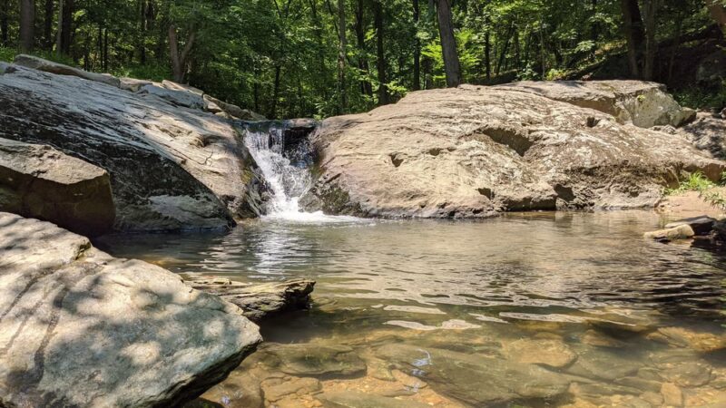 Croydon Creek Nature Center - Rockville, MD