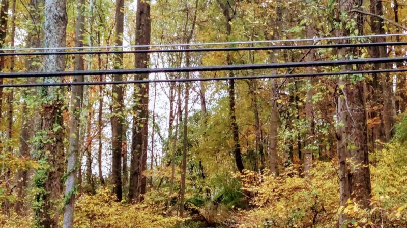 Glen Hills Park - Rockville, MD