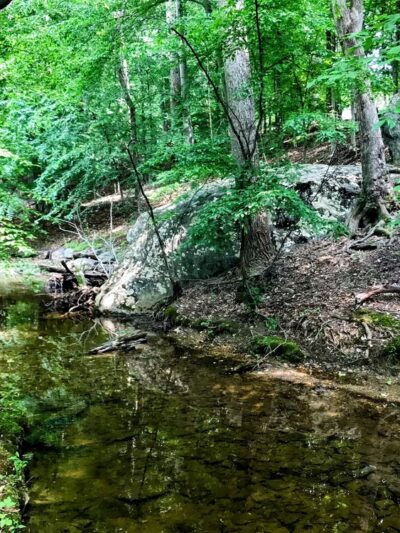 Norbeck Meadows Neighborhood Park - Rockville, MD