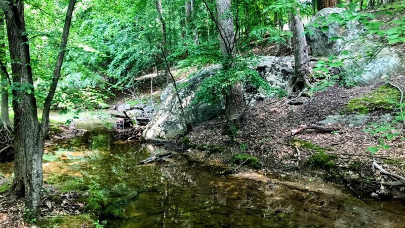 Norbeck Meadows Neighborhood Park - Rockville, MD