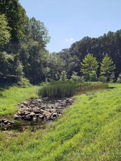 Norbeck Meadows Neighborhood Park - Rockville, MD