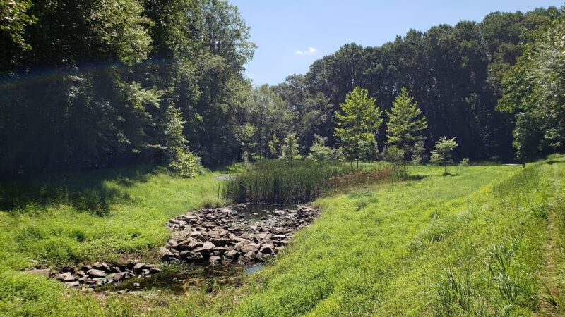 Norbeck Meadows Neighborhood Park - Rockville, MD
