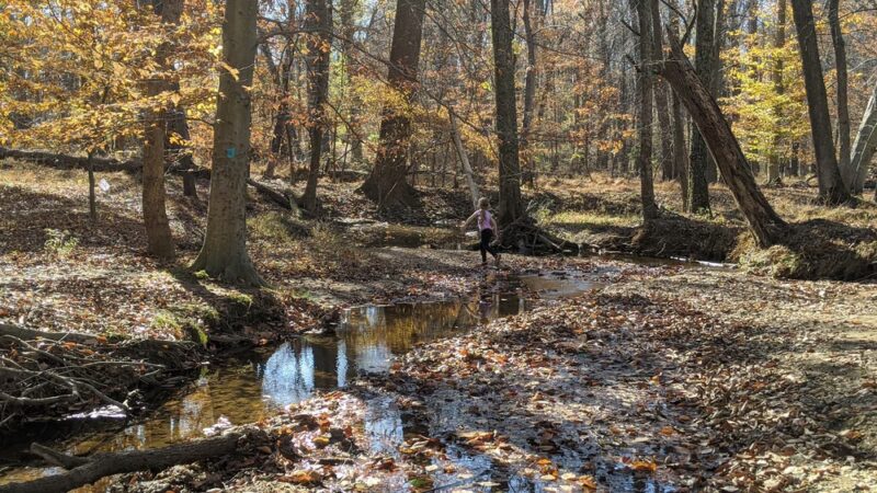 Norbeck Meadows Neighborhood Park - Rockville, MD
