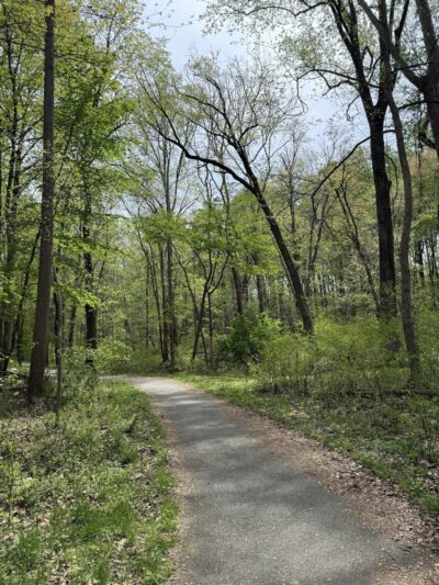 Potomac Woods Park - Rockville, MD