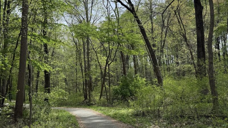 Potomac Woods Park - Rockville, MD