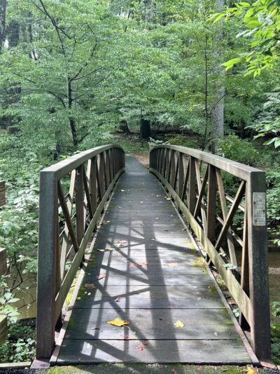Tilden Woods Local Park - Rockville, MD