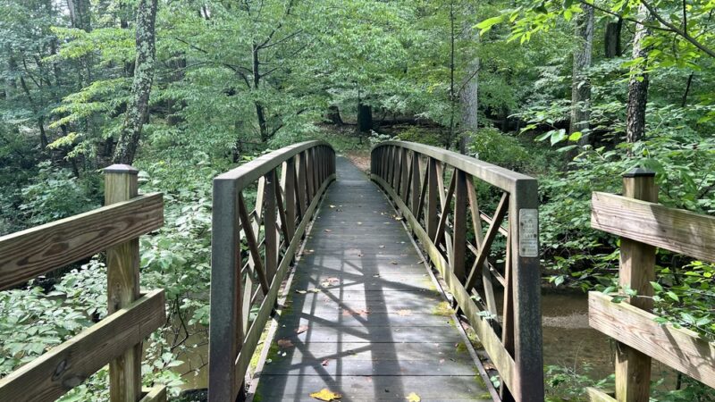 Tilden Woods Local Park - Rockville, MD