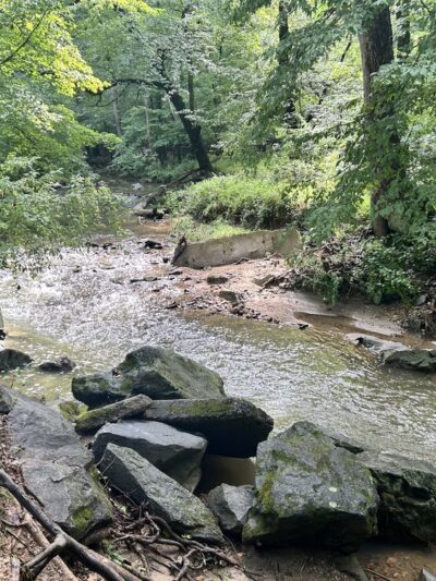 Tilden Woods Local Park - Rockville, MD