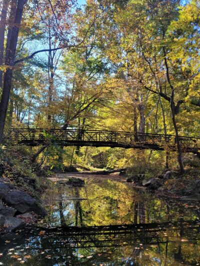 Tilden Woods Local Park - Rockville, MD