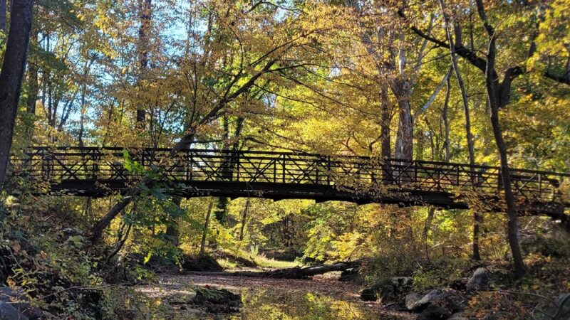 Tilden Woods Local Park - Rockville, MD