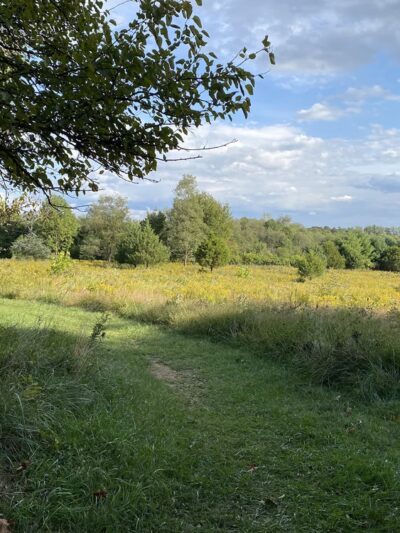 Washington Grove Conservation Park - Rockville, MD