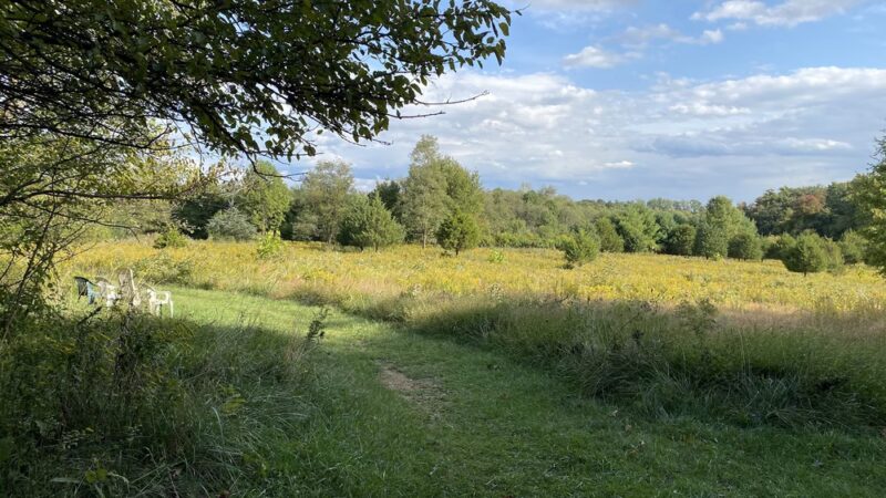 Washington Grove Conservation Park - Rockville, MD