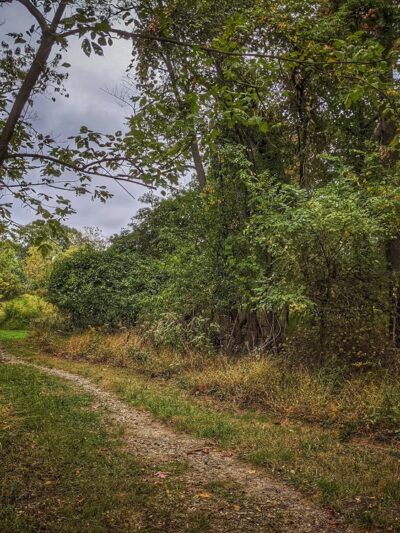 Washington Grove Conservation Park - Rockville, MD