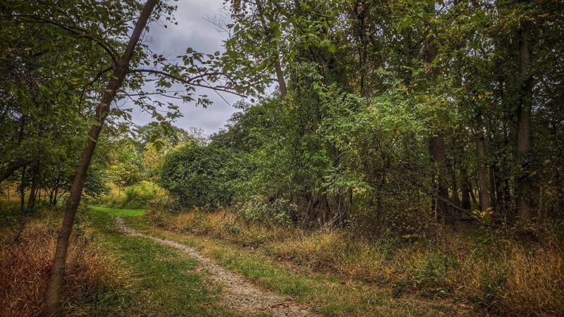 Washington Grove Conservation Park - Rockville, MD