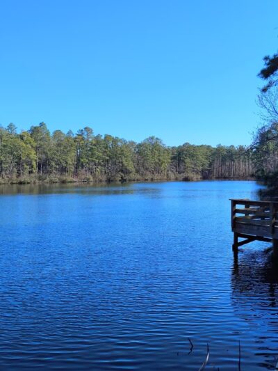 Millers Pond Park - Rocky Point, NC