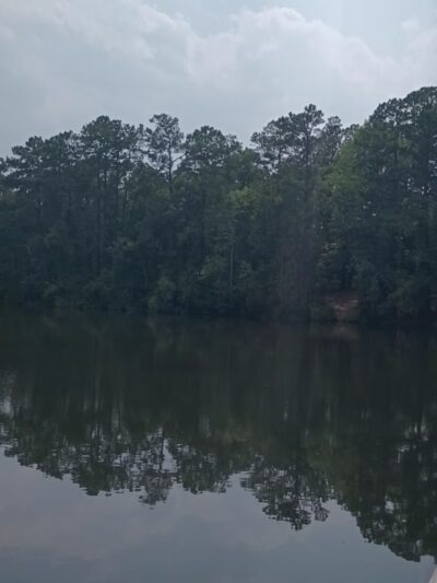 Millers Pond Park - Rocky Point, NC