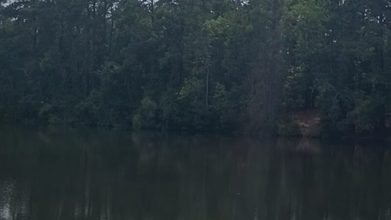 Millers Pond Park - Rocky Point, NC