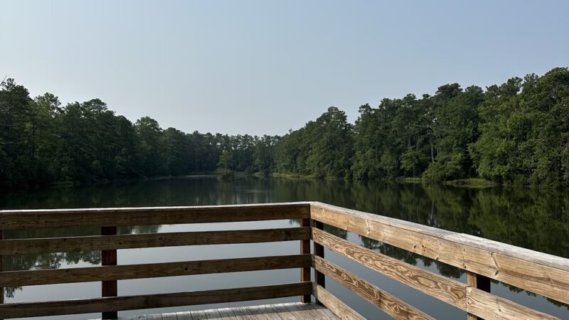 Millers Pond Park - Rocky Point, NC