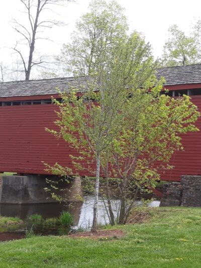 Loys Station Park - Rocky Ridge, MD