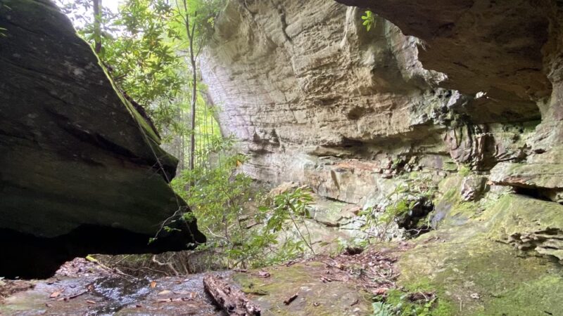 Muir Valley Parking For Climbing & Hiking - Rogers, KY