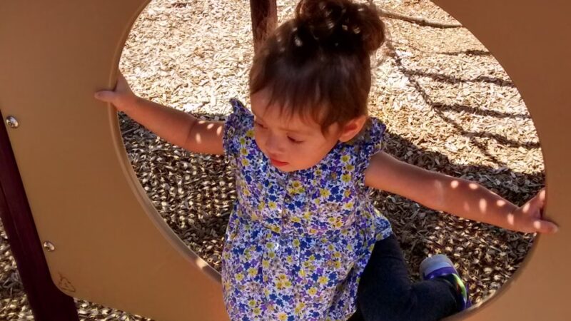 Caterpillar Park - Rohnert Park, CA
