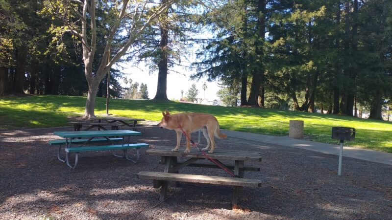 Eagle Park - Rohnert Park, CA