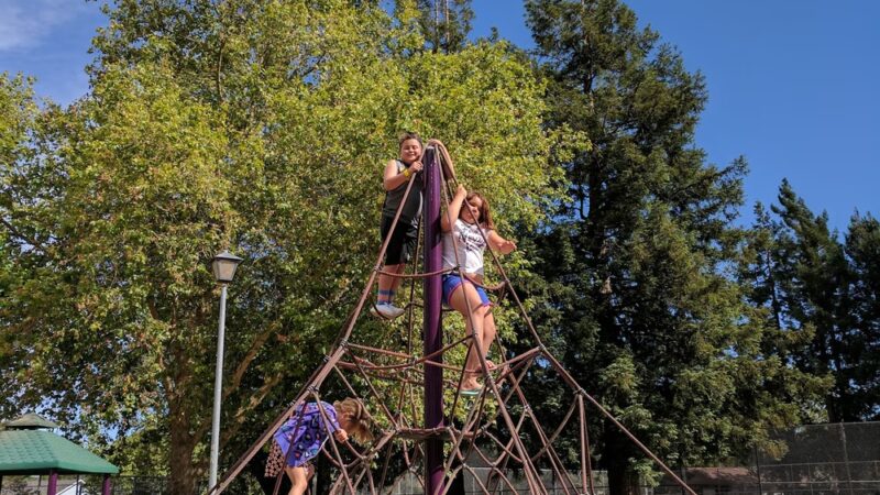 Ladybug Park - Rohnert Park, CA