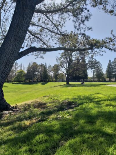 Ladybug Park - Rohnert Park, CA