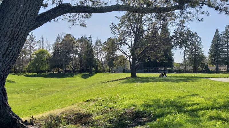 Ladybug Park - Rohnert Park, CA