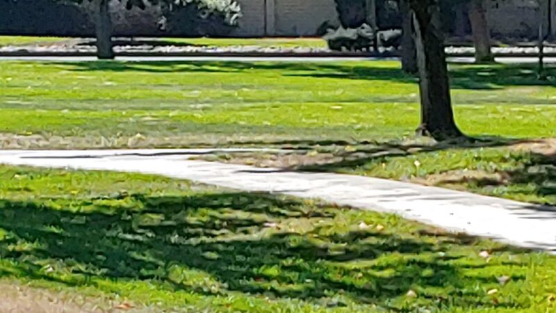 Rainbow Park - Rohnert Park, CA