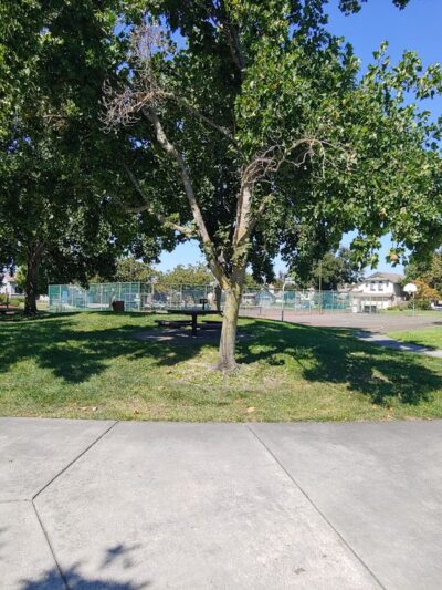 Rainbow Park - Rohnert Park, CA